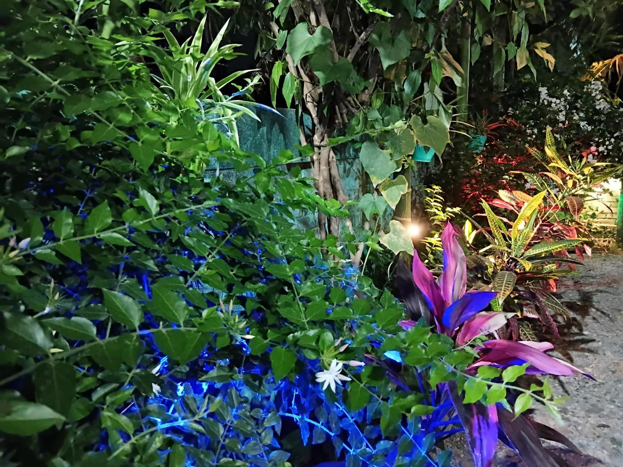 Green View Homestay Siliguri Eksteriør billede